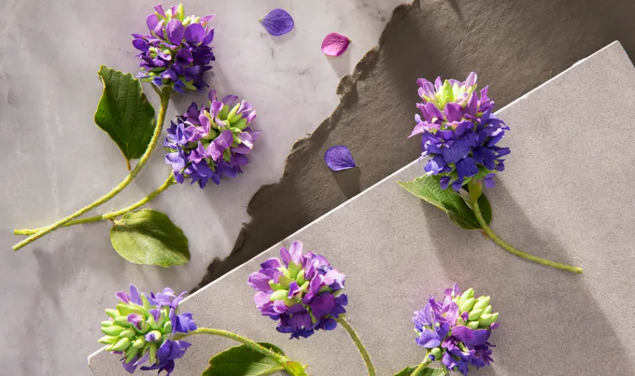 https://lifestyle-people.com/