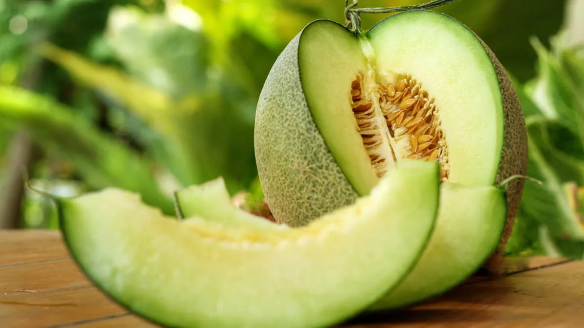 Manfaat Buah Melon untuk Kulit Wajah Cantik dan Sehat Secara Alami
