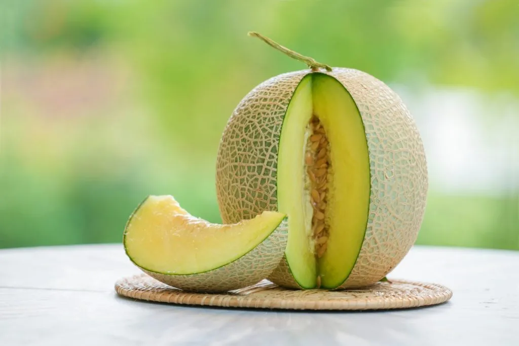 Manfaat Buah Melon untuk Kulit Wajah Cantik dan Sehat Secara Alami
