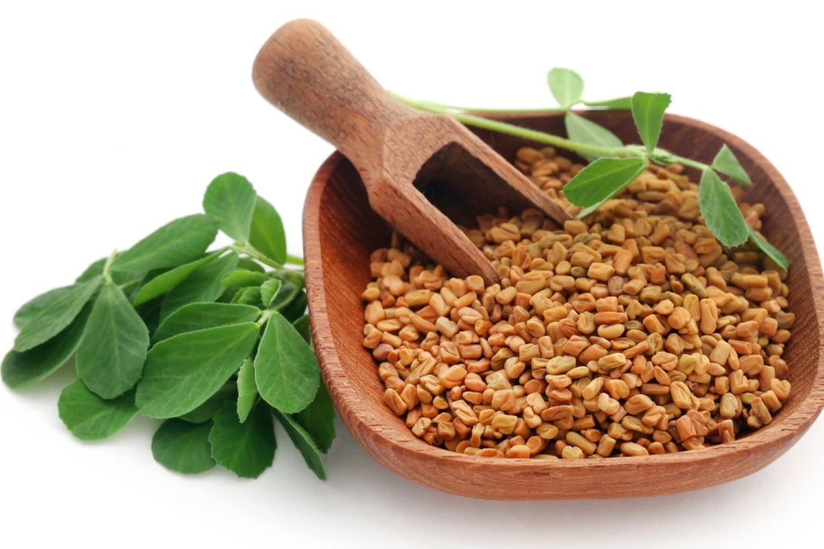 fenugreek