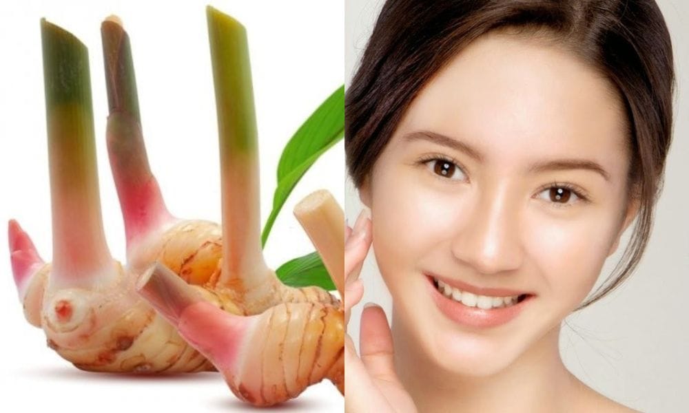 manfaat lengkuas untuk wajah