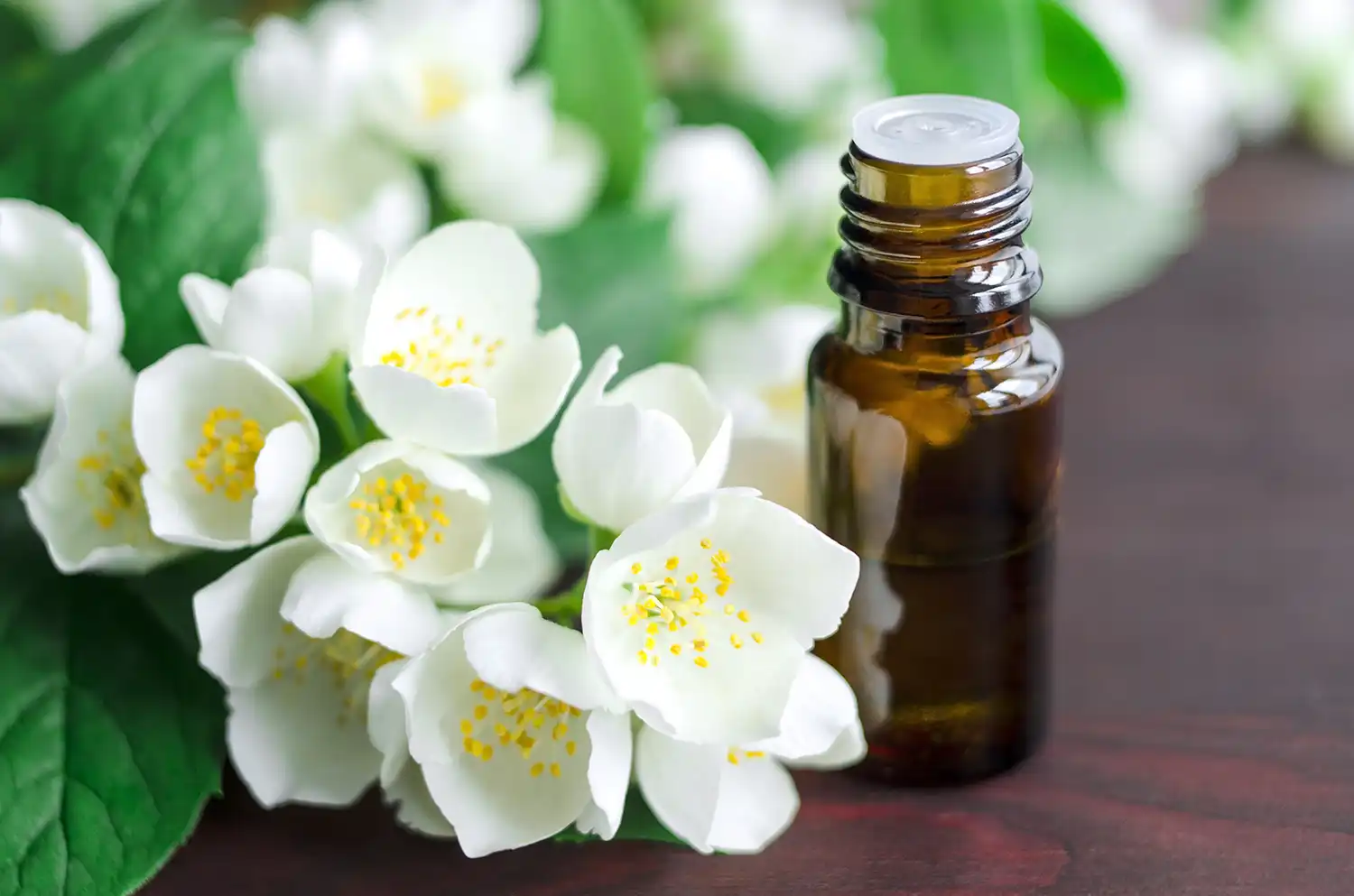 neroli oil