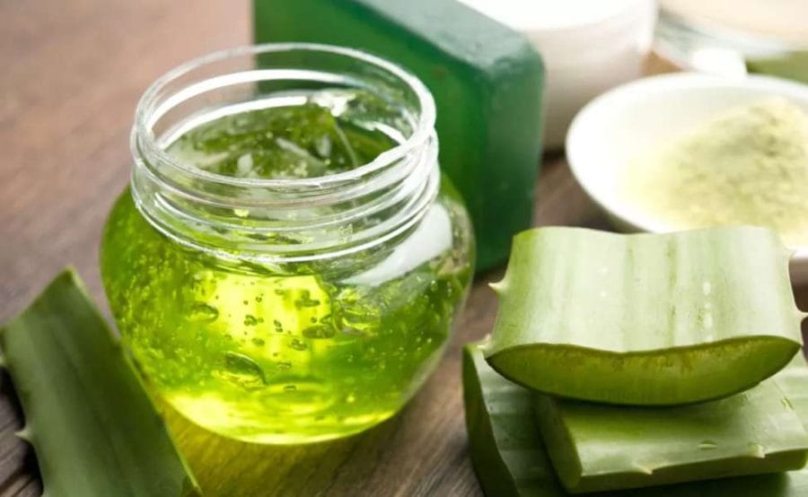 Obat Lecet Selangkangan Tradisional