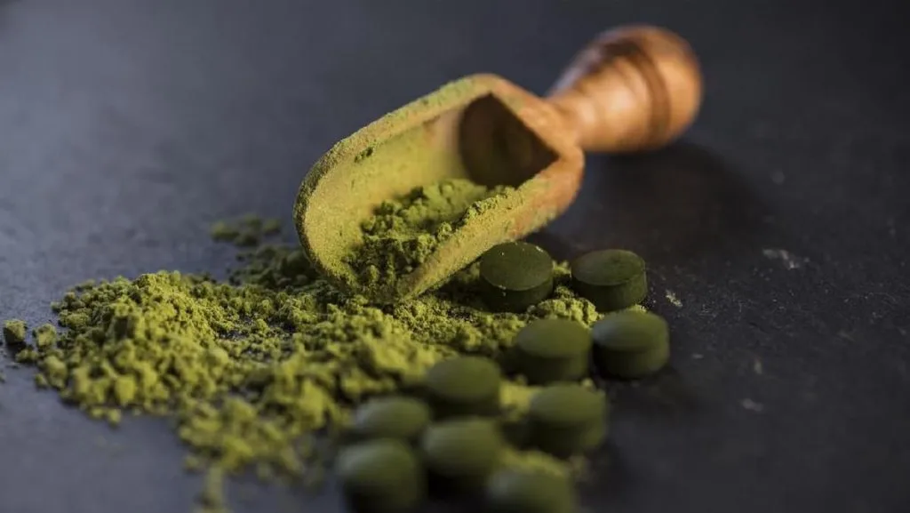 ganggang spirulina