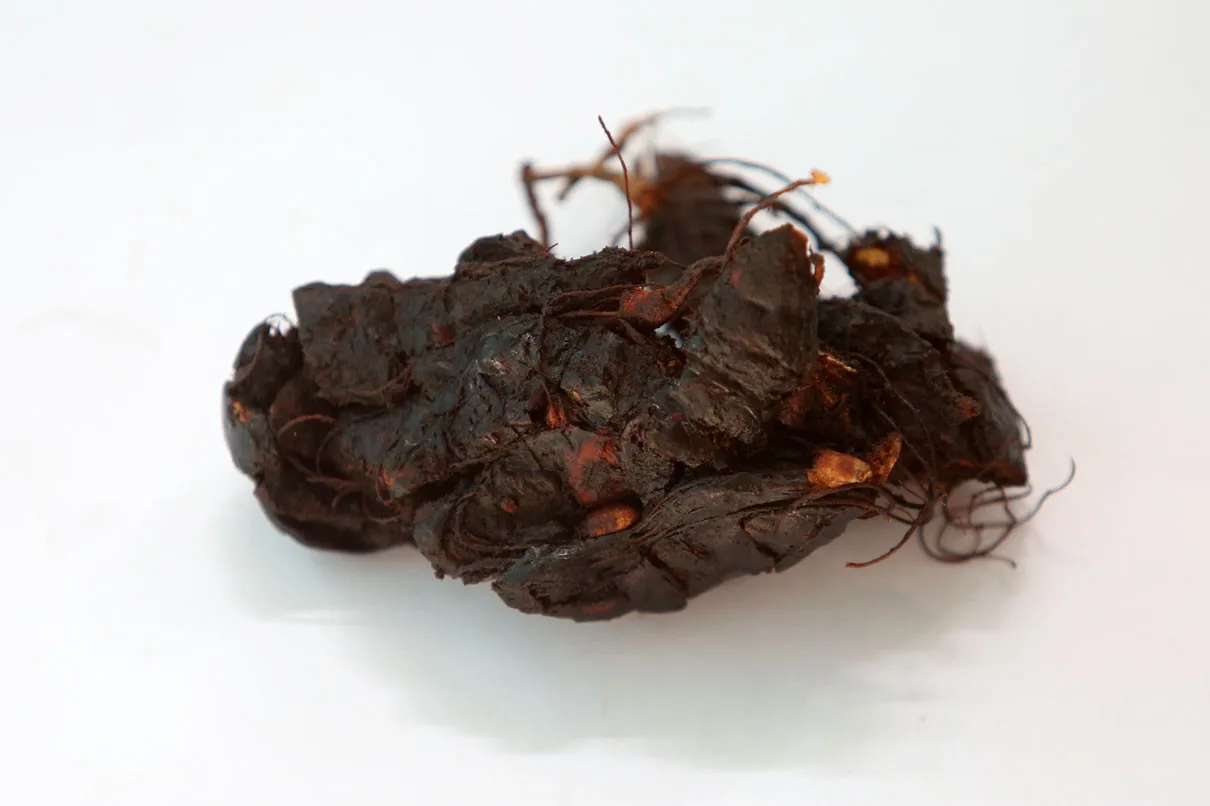 manfaat asam jawa untuk flek hitam