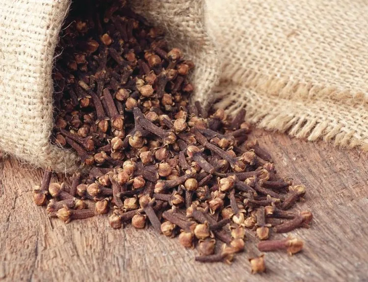 manfaat cengkeh untuk kecantikan