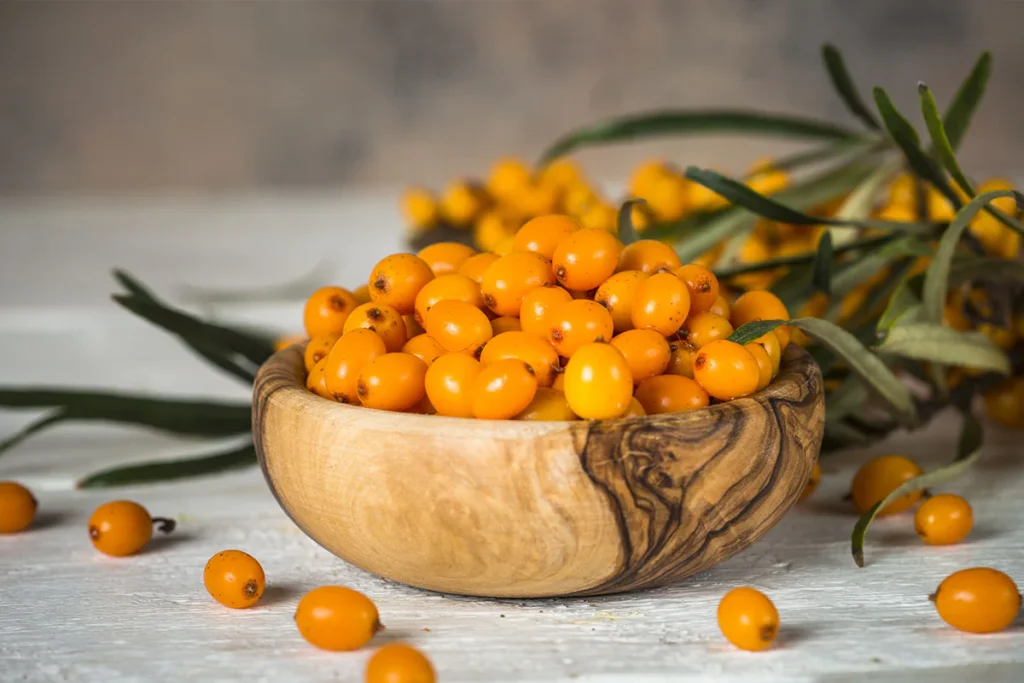 manfaat sea buckthorn