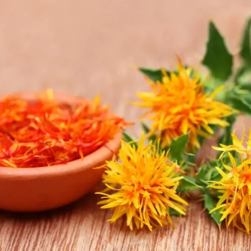 minyak safflower
