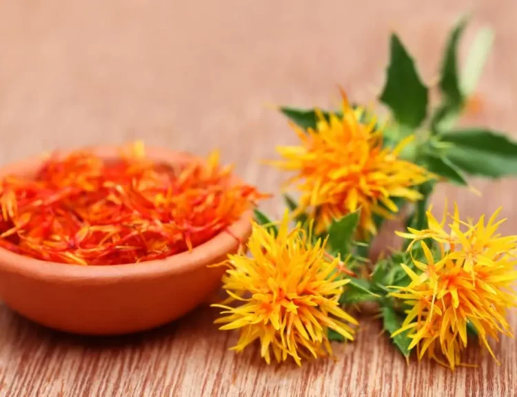 minyak safflower