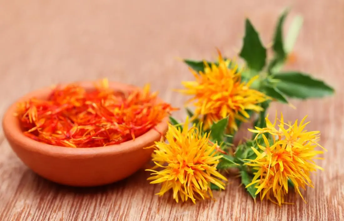 minyak safflower