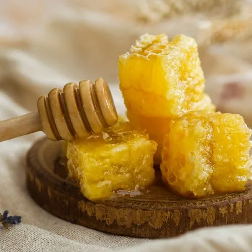 5 manfaat propolis
