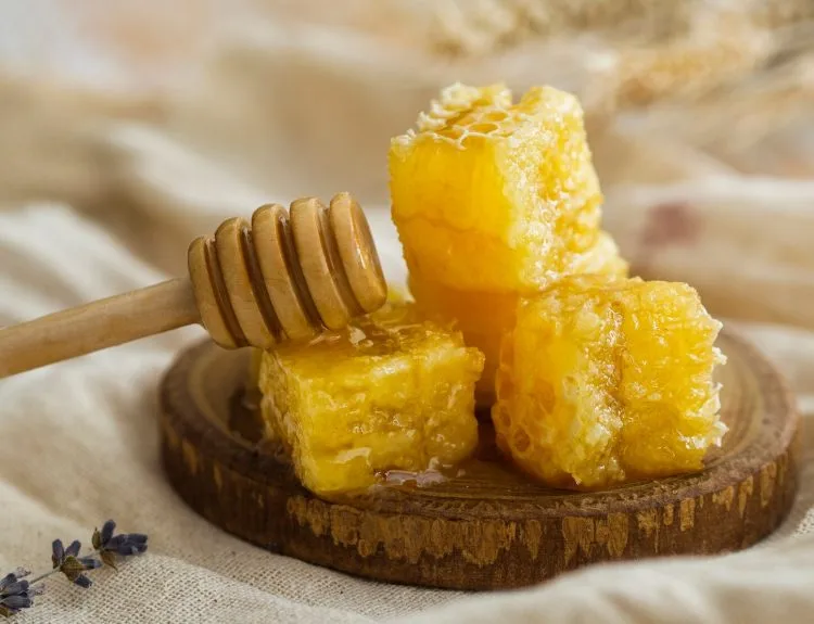 5 manfaat propolis