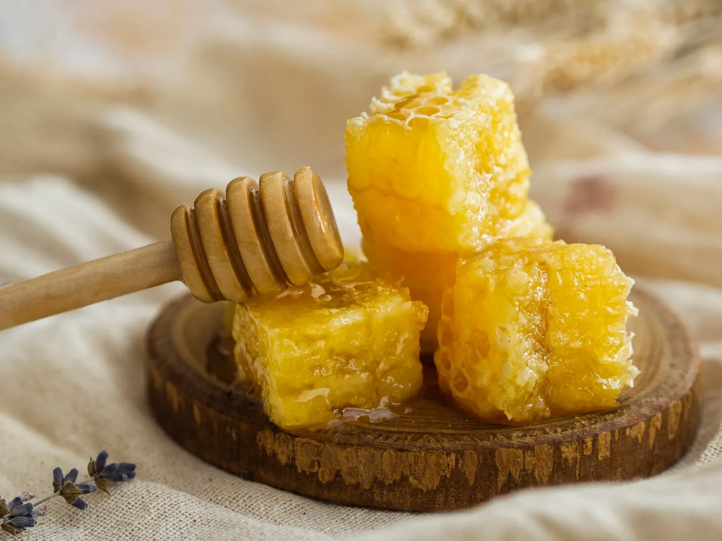 5 manfaat propolis