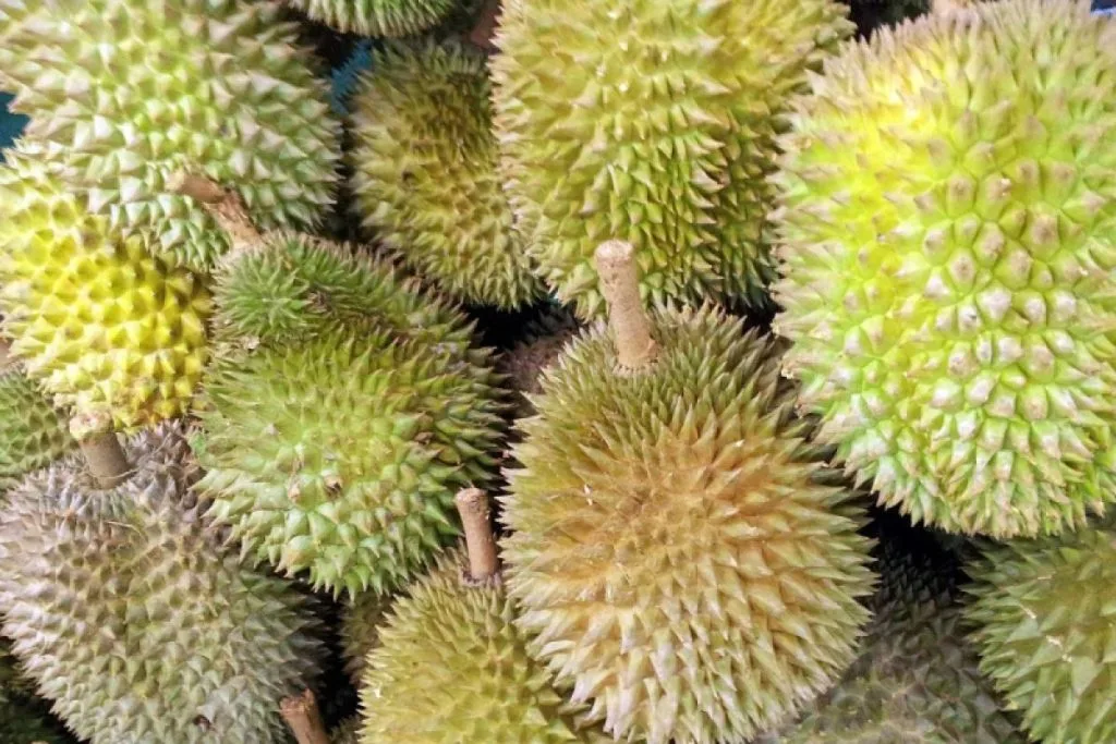 apa manfaat duren