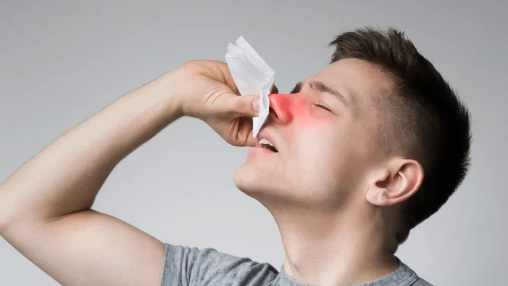 cara mengobati jerawat di hidung