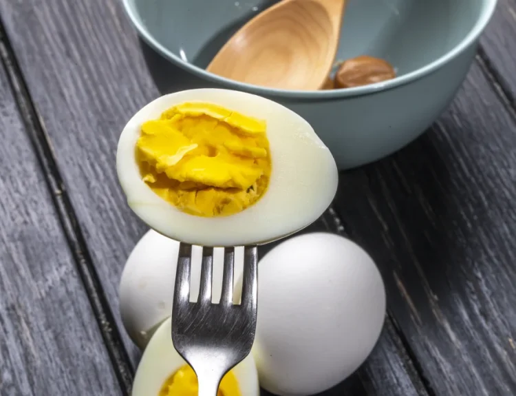 diet telur