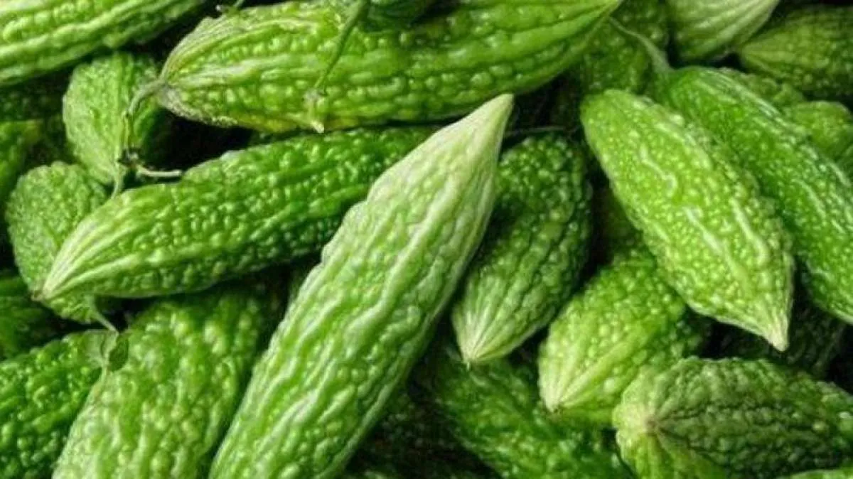 efek samping pare untuk wajah