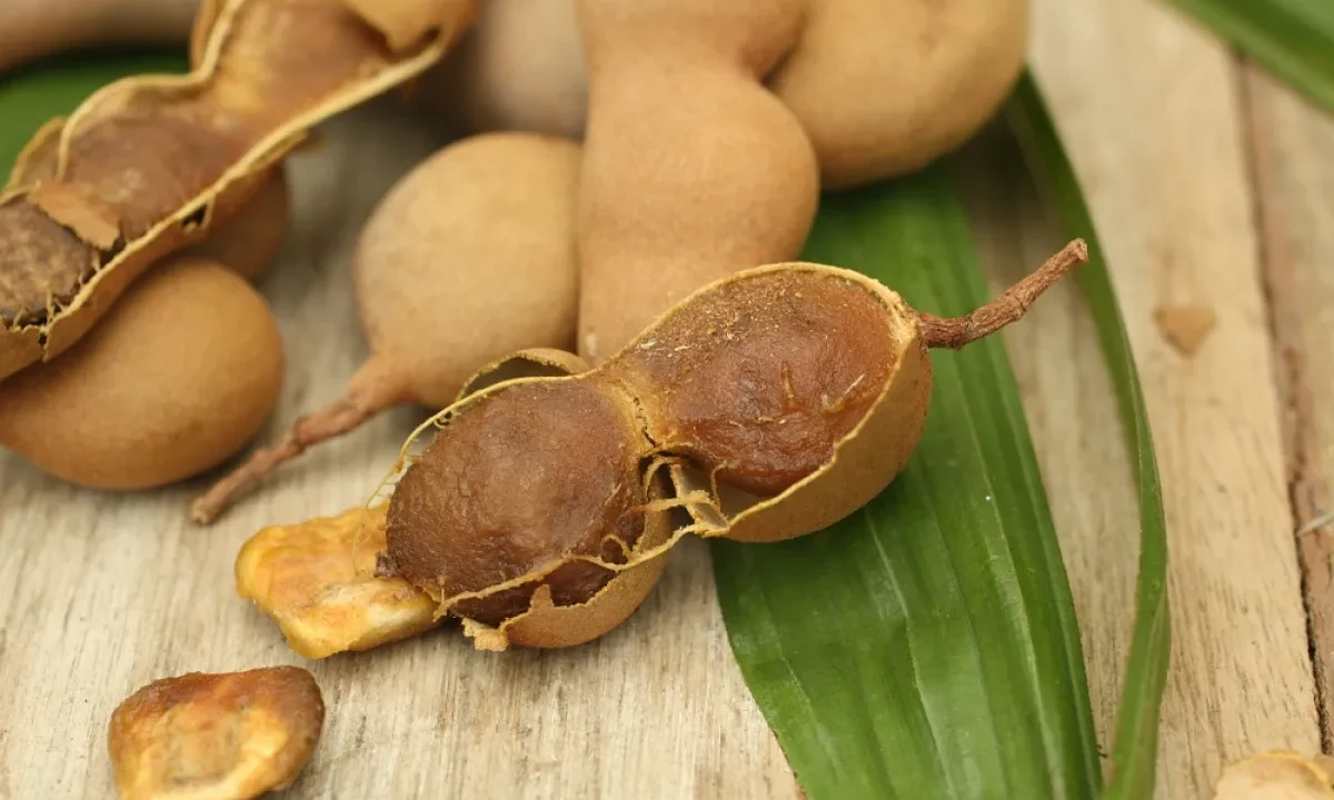 Manfaat Asam Jawa untuk Wajah yang Bikin Kulitmu Lebih Cerah dan Segar, Mau Coba?