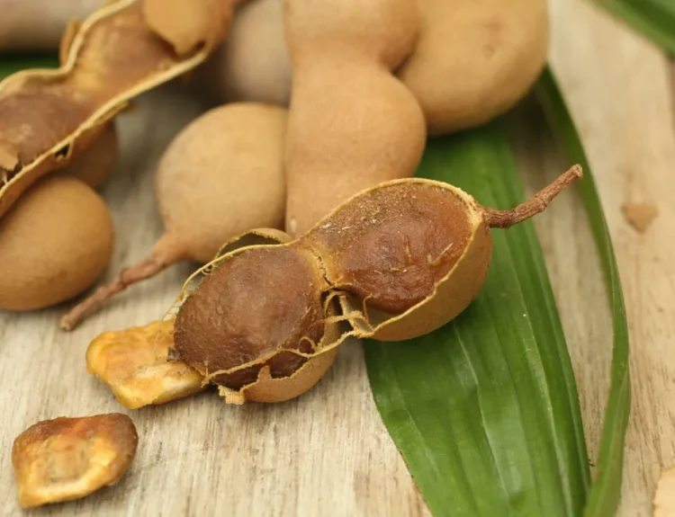 manfaat asam jawa untuk wajah