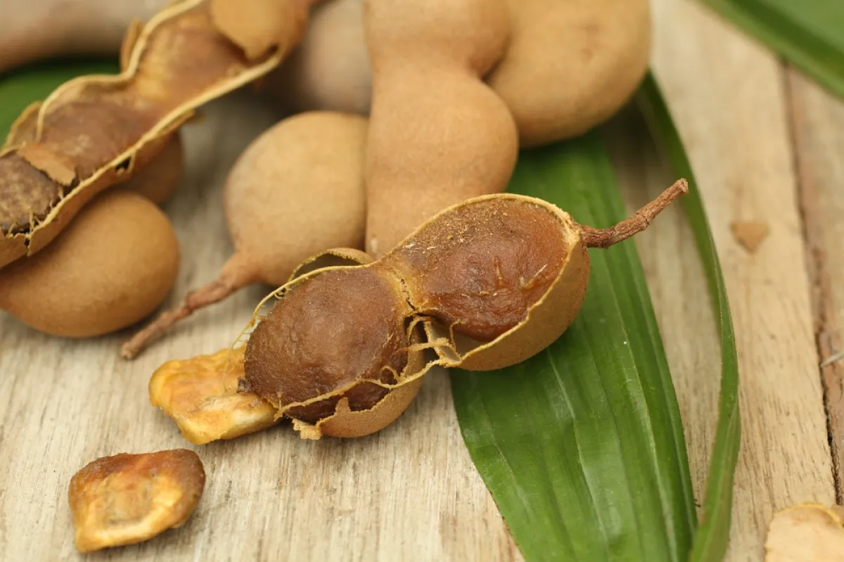 manfaat asam jawa untuk wajah
