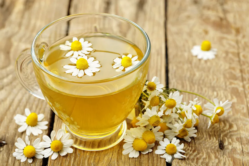 manfaat bunga chamomile untuk wajah