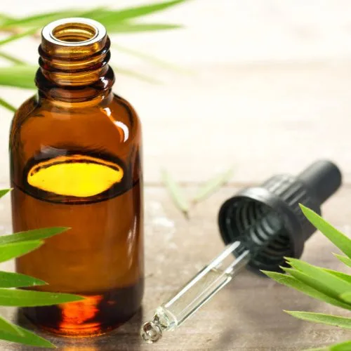 manfaat castor oil untuk rambut