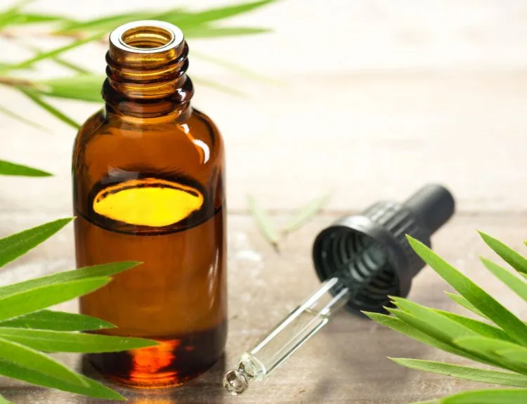 manfaat castor oil untuk rambut