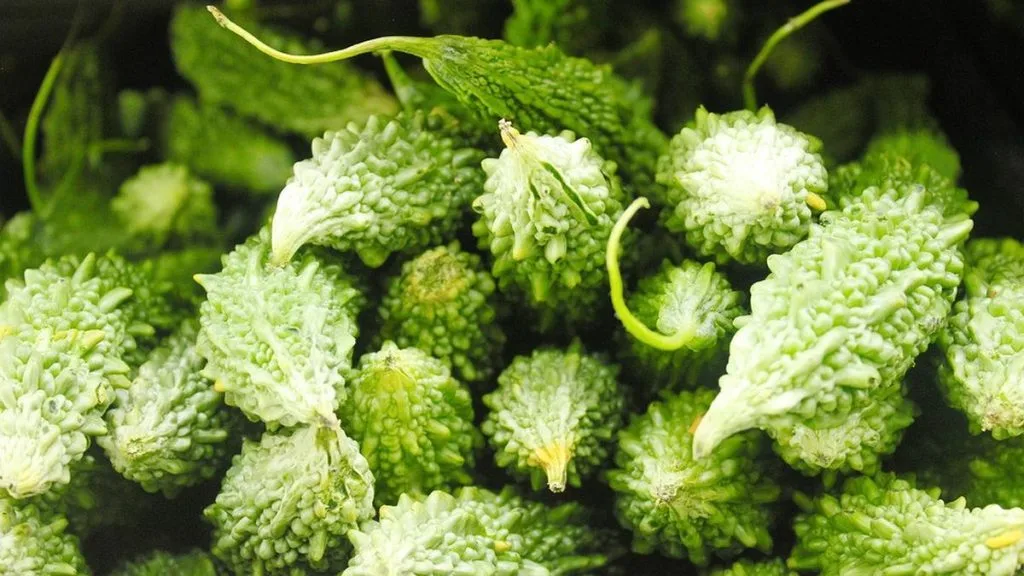manfaat daun pare untuk wajah