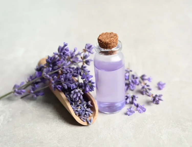 manfaat lavender untuk wajah
