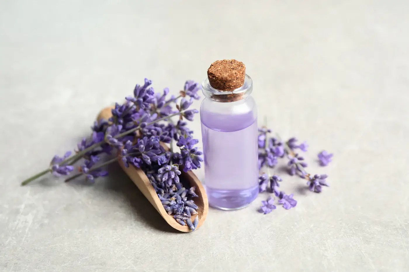 manfaat lavender untuk wajah