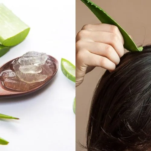 manfaat masker lidah buaya untuk rambut