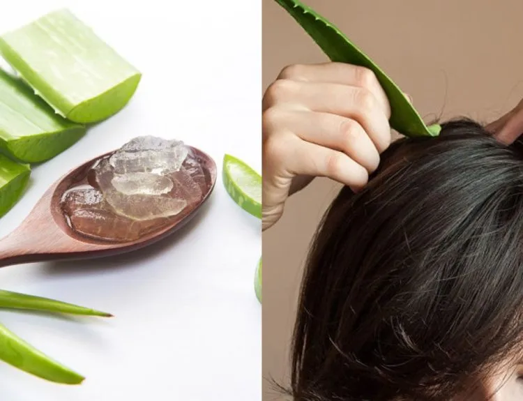 manfaat masker lidah buaya untuk rambut