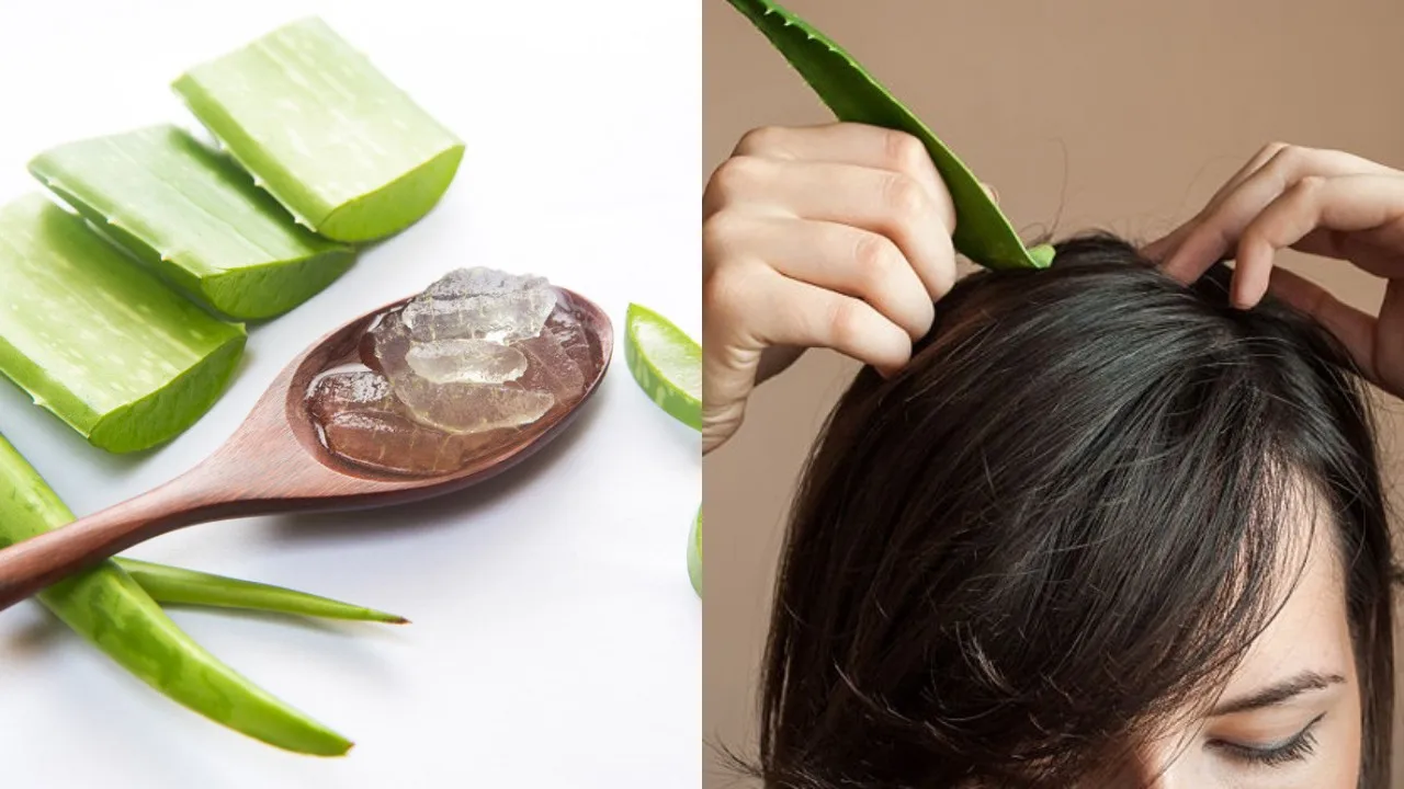 manfaat masker lidah buaya untuk rambut