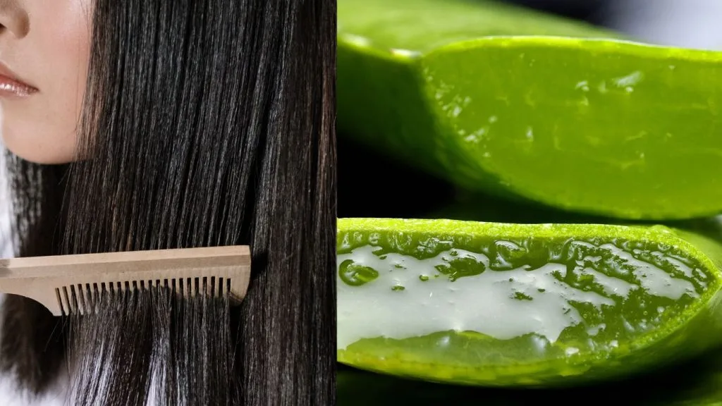 manfaat masker lidah buaya untuk rambut
