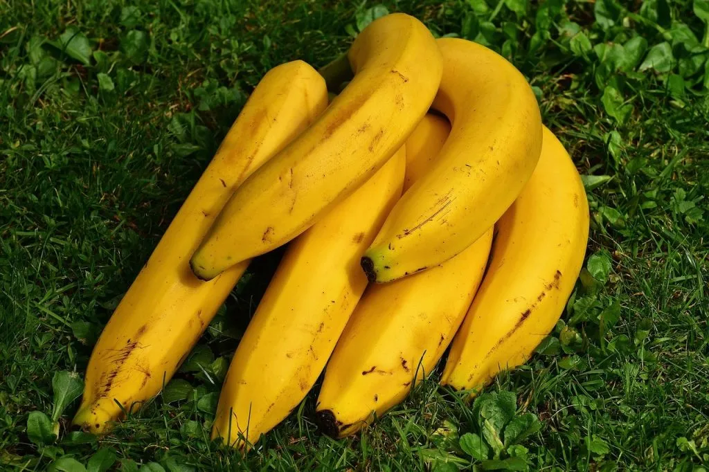 manfaat pisang adalah
