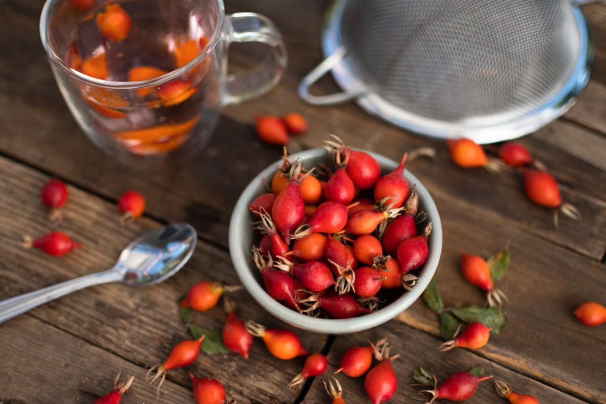 manfaat rose hips