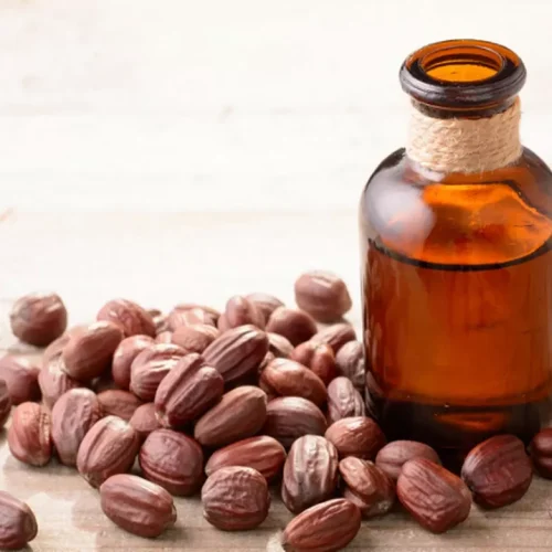 minyak jojoba terbuat dari apa