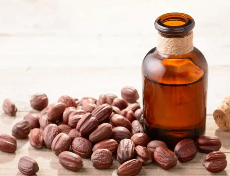 minyak jojoba terbuat dari apa
