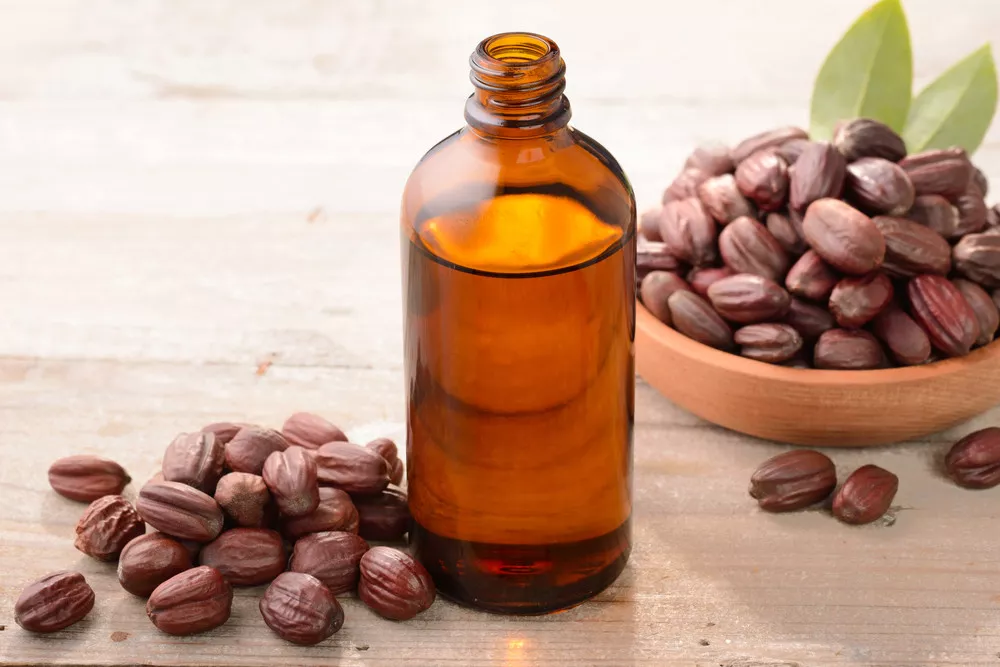 minyak jojoba terbuat dari apa