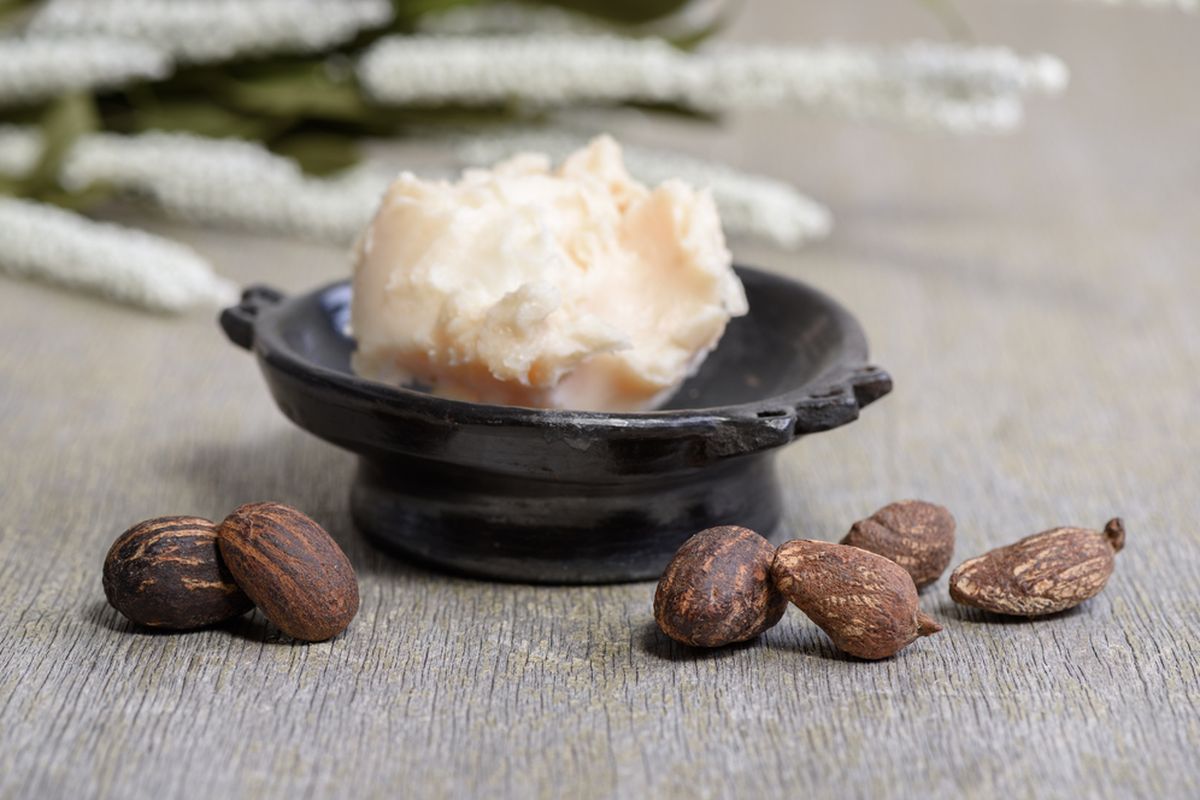 shea butter untuk wajah