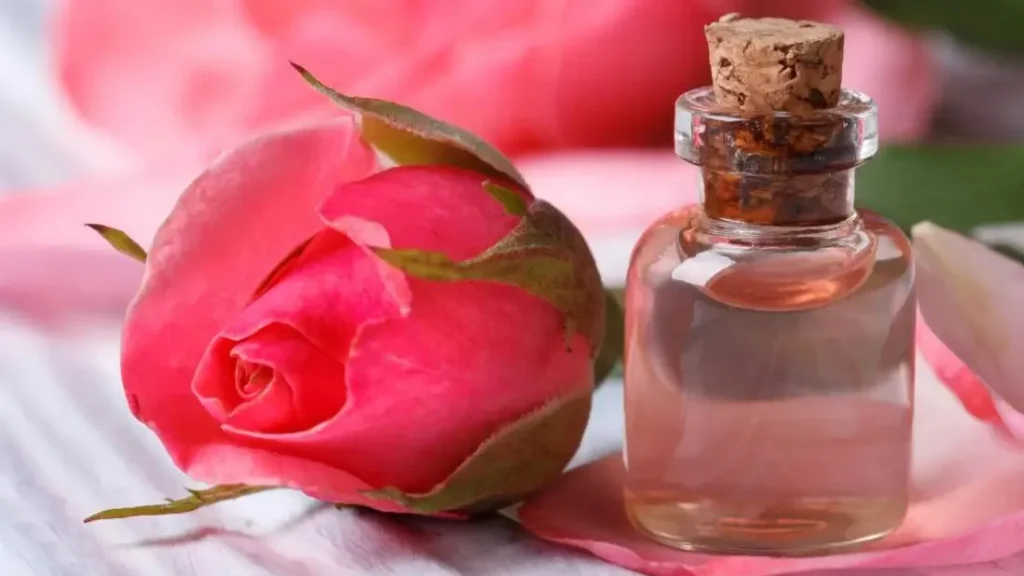 air mawar digunakan sebelum atau sesudah cuci muka