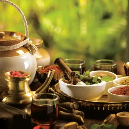 apa itu ayurveda