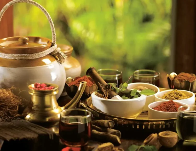 apa itu ayurveda
