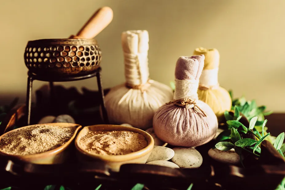 apa itu ayurveda
