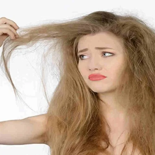 manfaat minyak zaitun untuk rambut