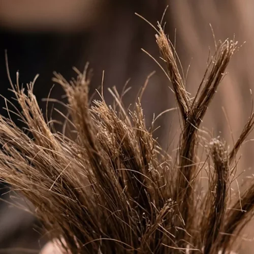 apa penyebab rambut bercabang