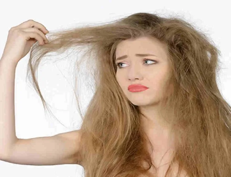 manfaat minyak zaitun untuk rambut
