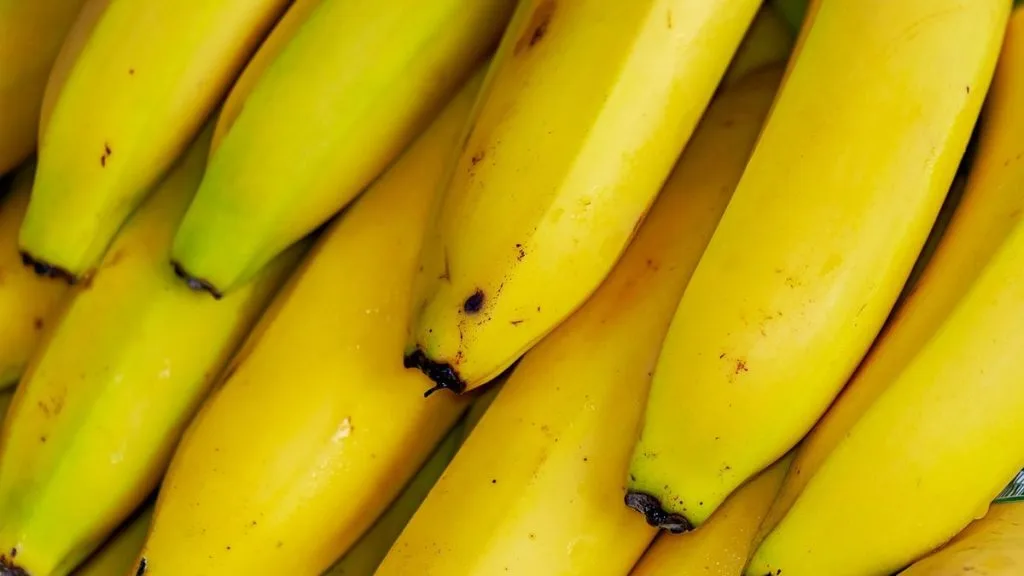 apakah pisang bikin gemuk