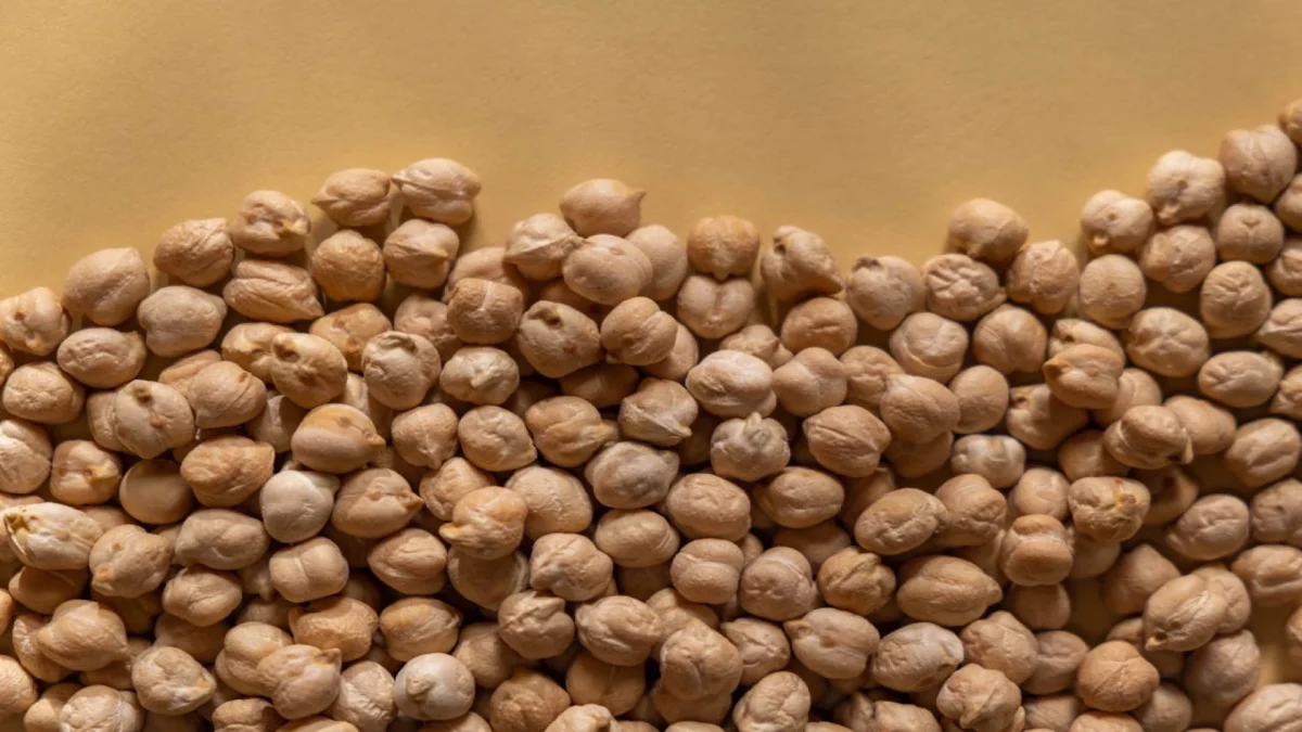 kacang arab