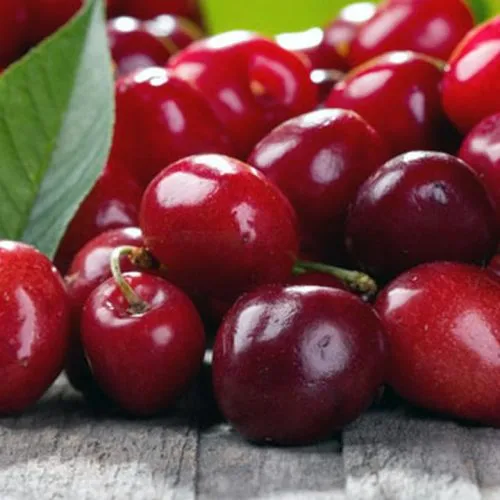 kandungan buah ceri